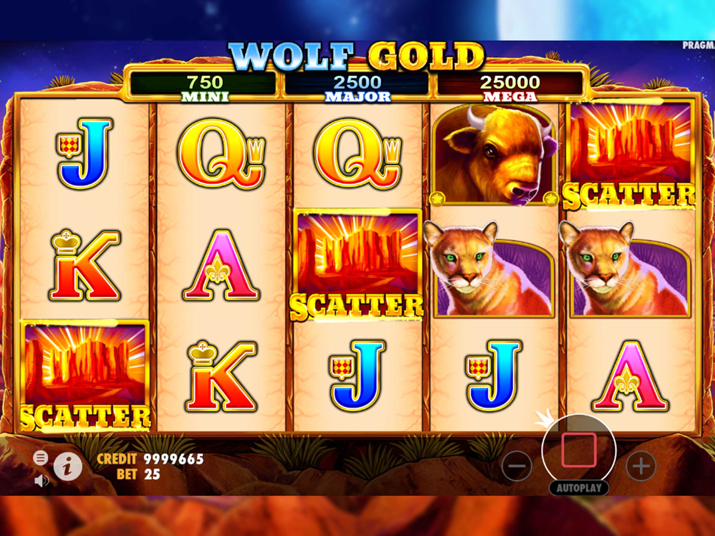 wolf gold scatter