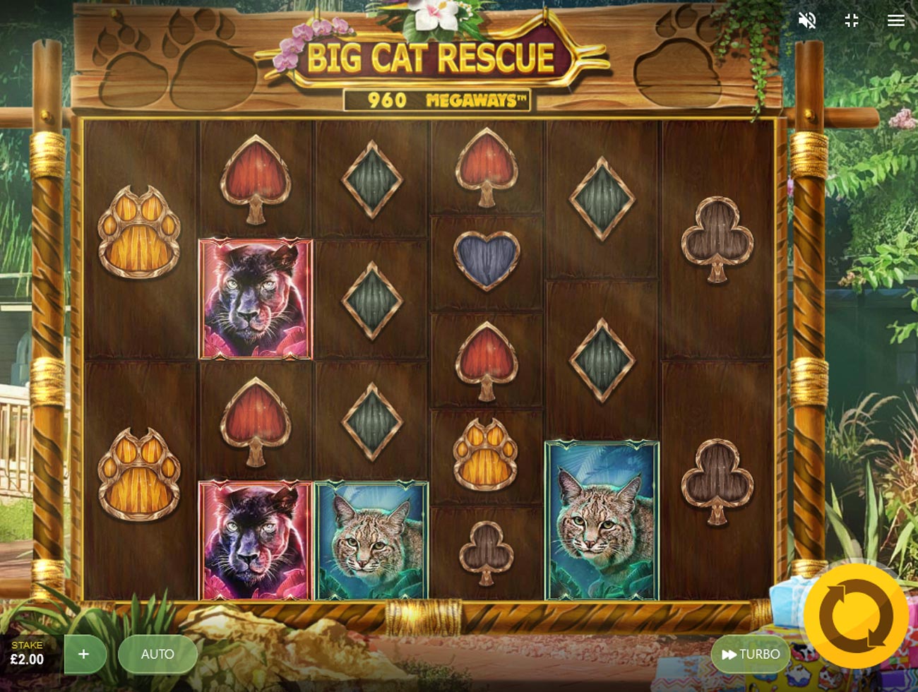 Big Cat Rescue Megaways Pokies