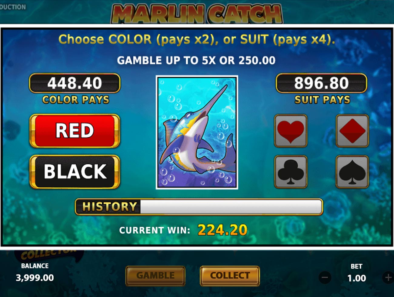 Marlin Catch Gamble Feature