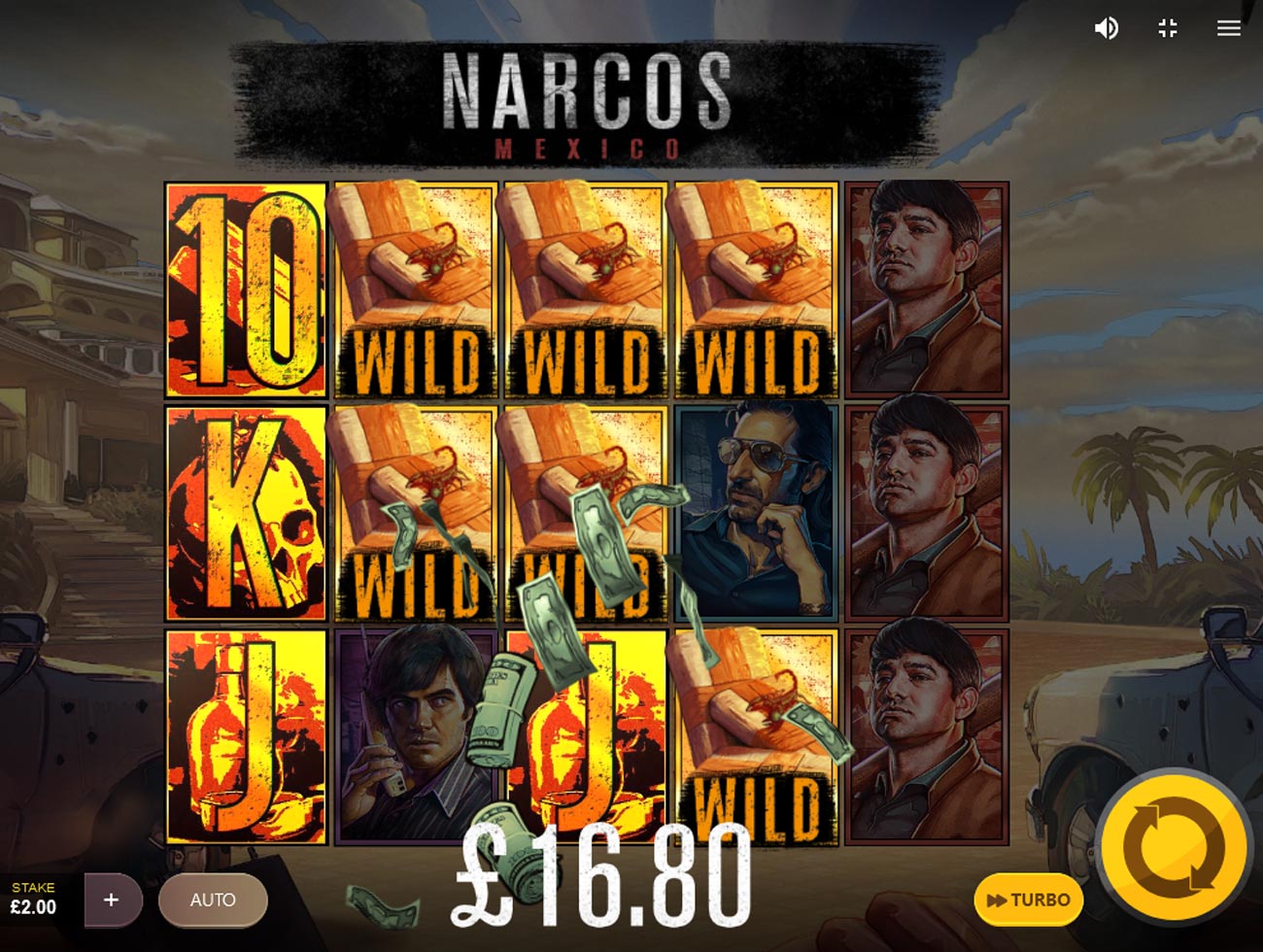Narcos Mexico Wilds