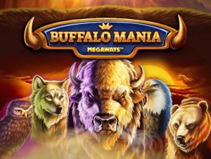 
                    Buffalo Mania Megaways